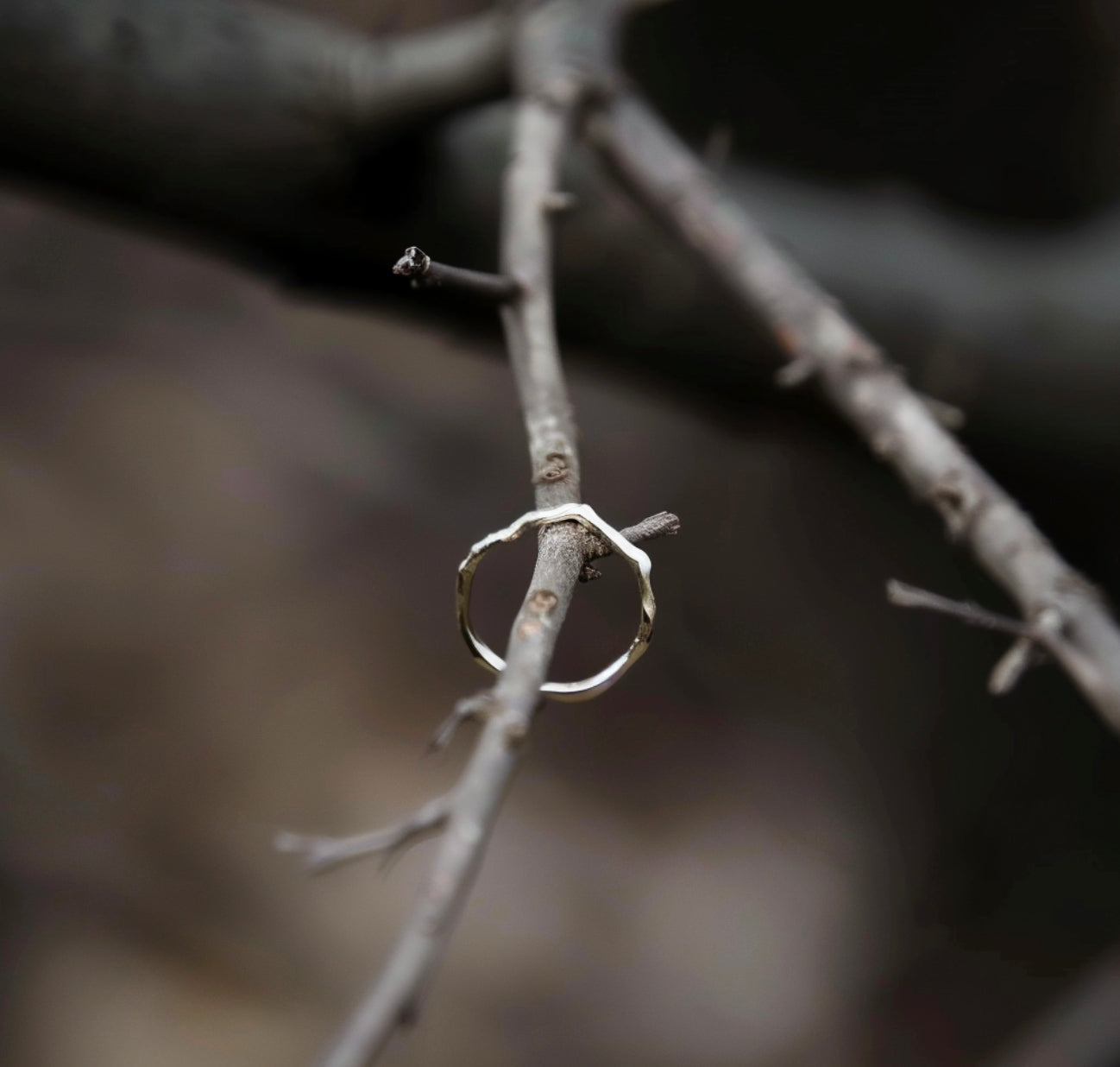 Angel's Wing simple twig ring
