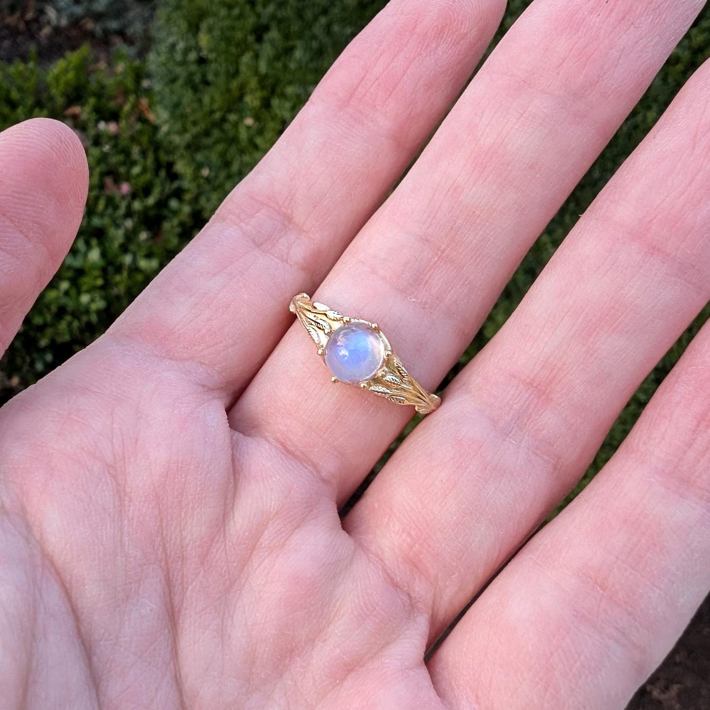 Forest's Wings, Raw Moonstone Solitary Engagement Ring