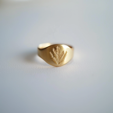 Load image into Gallery viewer, Solid Gold Evergreen Essence Signet Ring
