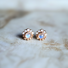 Load image into Gallery viewer, Sunflower Moonstone Studs with Moissanite
