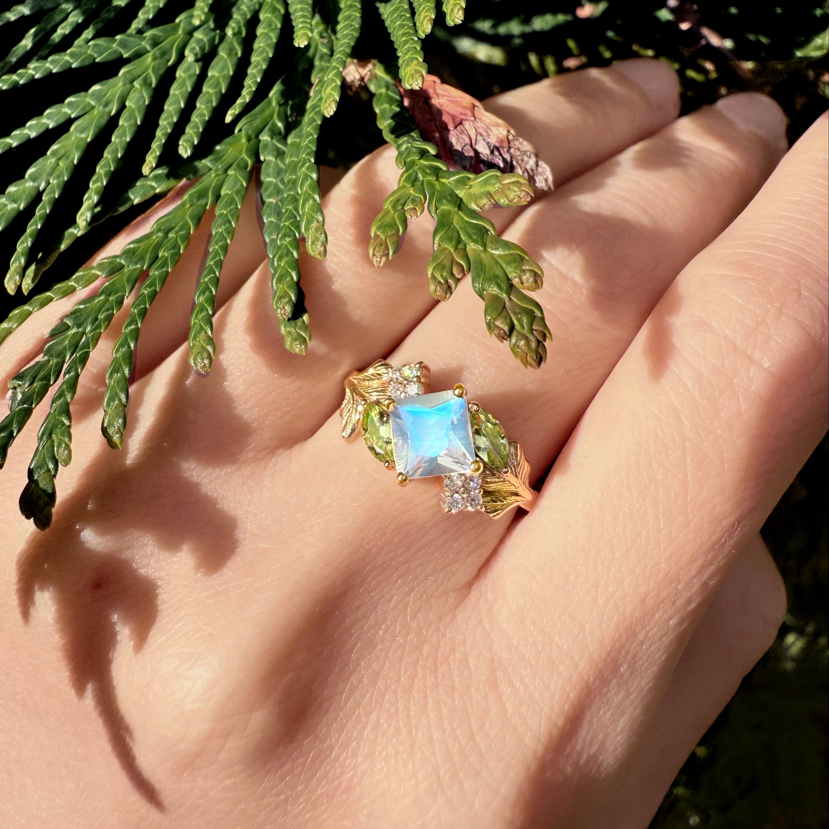 Hand wearing a gold ring with a blue moonstone against a green leafy background